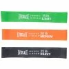 EVERLAST RESISTANCE LOOP BAND SET